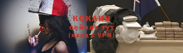 соль ск Михайлов