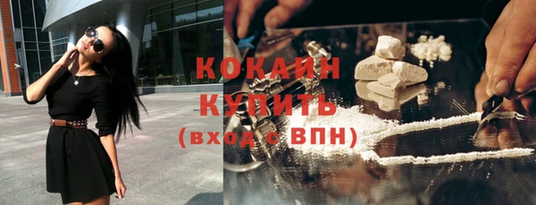 индика Наволоки